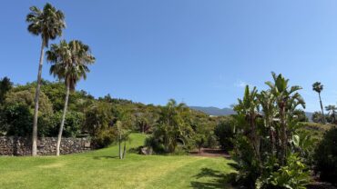 Villa Crone La Matanza – Tropical garden with palms and views of the valley