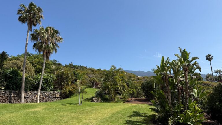 Giardino tropicale con palme